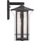 Progress Lighting Cullman Collection One-Light Medium Wall Lantern P560125-020 - alternate 2